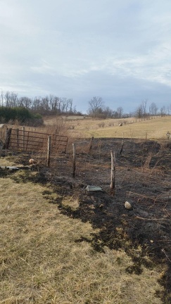 12516802 562911347202703 1159838912 o