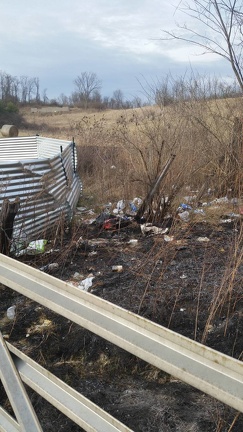 12842561 562911197202718 1004991809 o